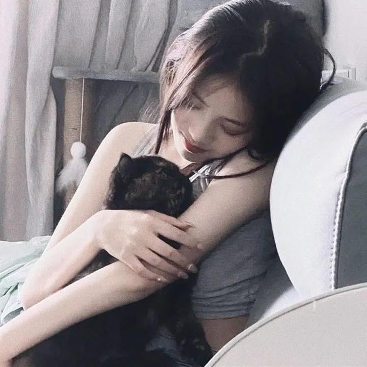 傲骨贤妻第七季