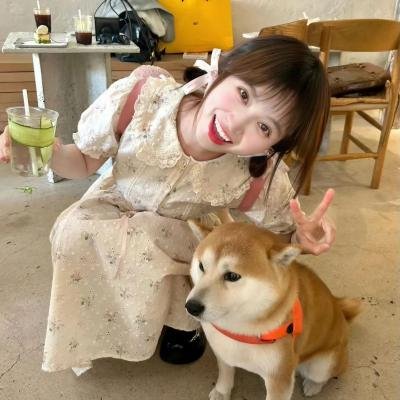 和平使者第一季